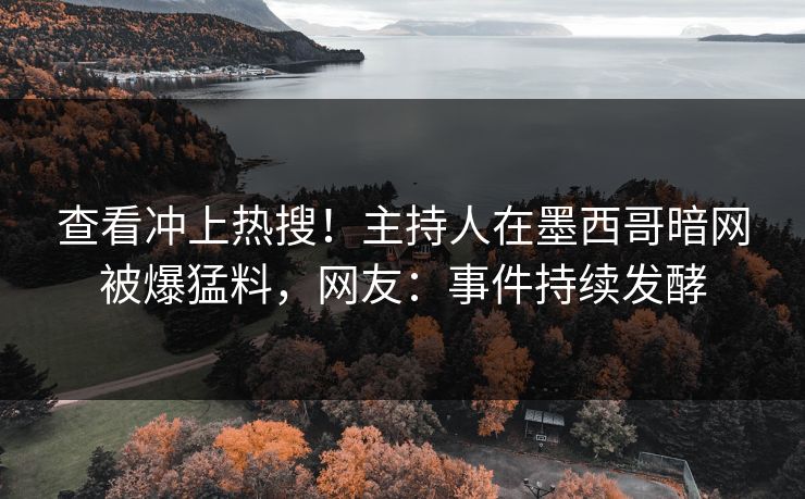 查看冲上热搜！主持人在墨西哥暗网被爆猛料，网友：事件持续发酵