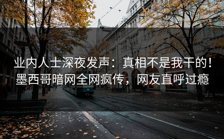 业内人士深夜发声：真相不是我干的！墨西哥暗网全网疯传，网友直呼过瘾