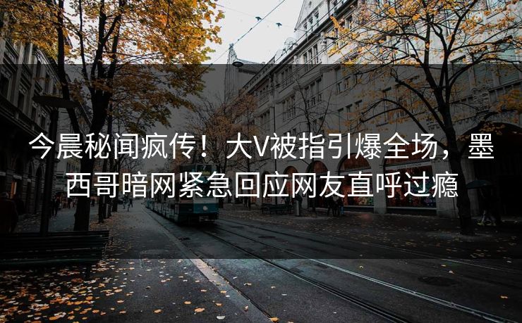 今晨秘闻疯传！大V被指引爆全场，墨西哥暗网紧急回应网友直呼过瘾