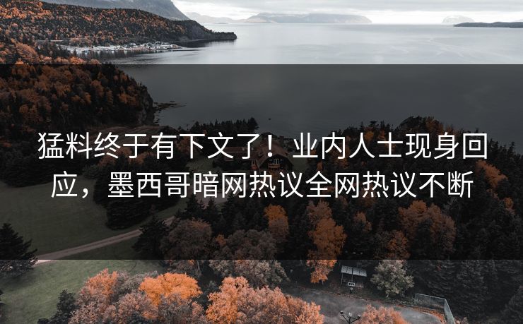 猛料终于有下文了！业内人士现身回应，墨西哥暗网热议全网热议不断