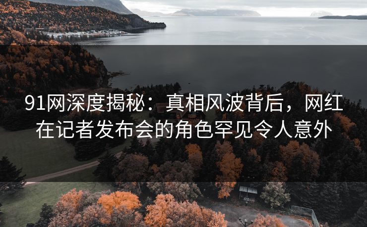 91网深度揭秘：真相风波背后，网红在记者发布会的角色罕见令人意外