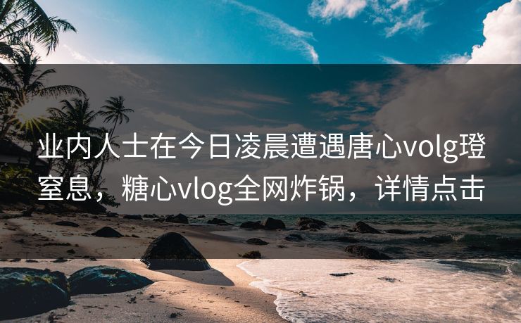 业内人士在今日凌晨遭遇唐心volg璒窒息，糖心vlog全网炸锅，详情点击